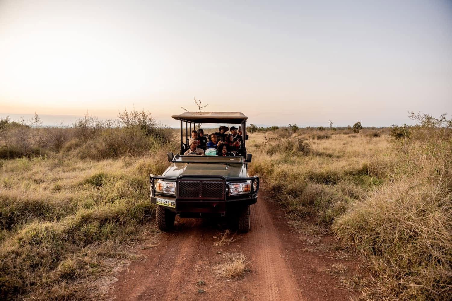 Safari wildlife in Eswatini